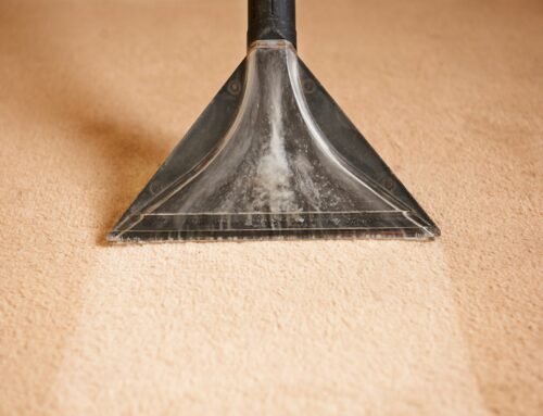 Commercial Carpet Cleaning Contracts: What Are the Benefits?